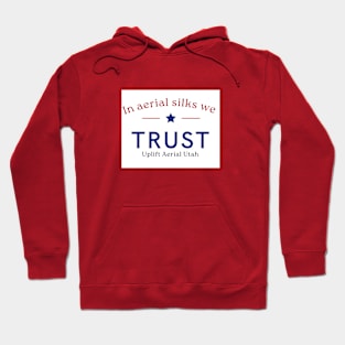 in Aerial we trust Hoodie